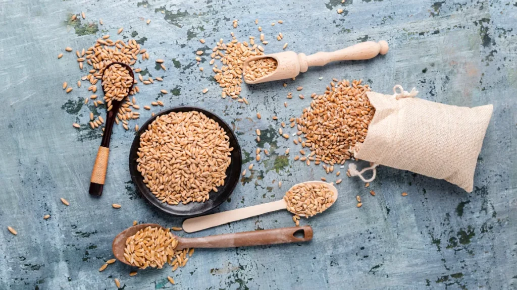 Benefits of a Protein Treatment for Hair