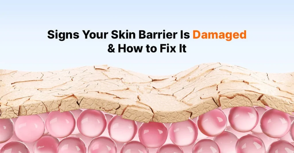 Gentle Cleanser for Skin Barrier